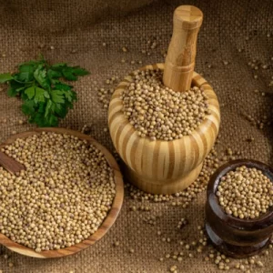Coriander