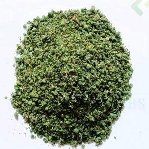 Egyptian oregano